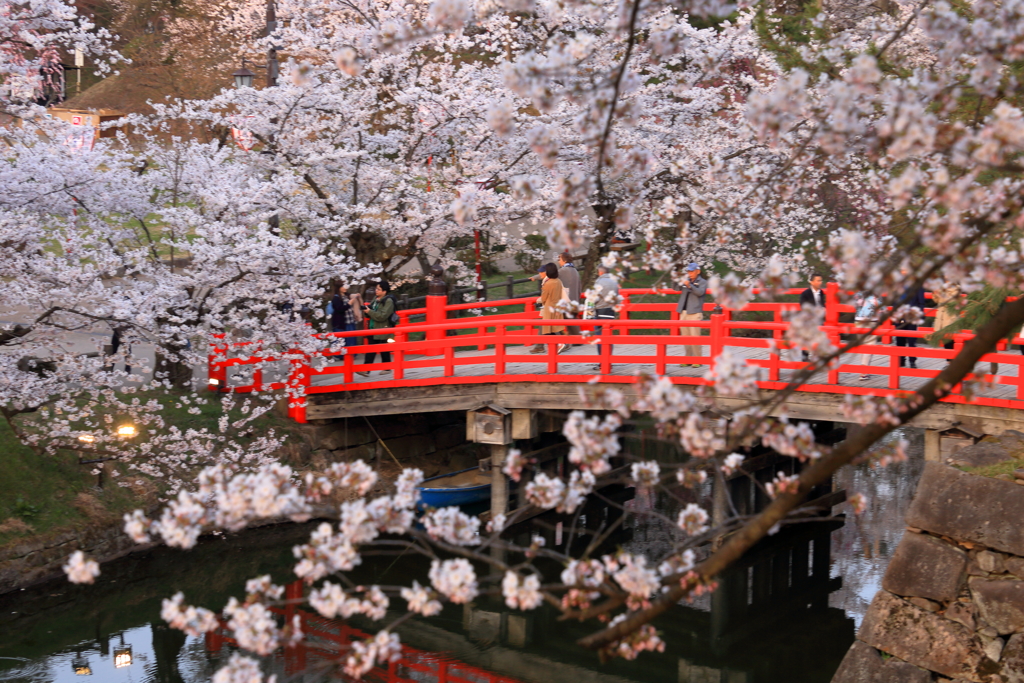 春の城跡