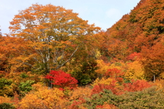 山燃える　酸ヶ湯にて　３