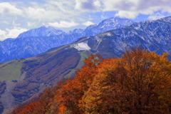 白馬岩岳　三段紅葉