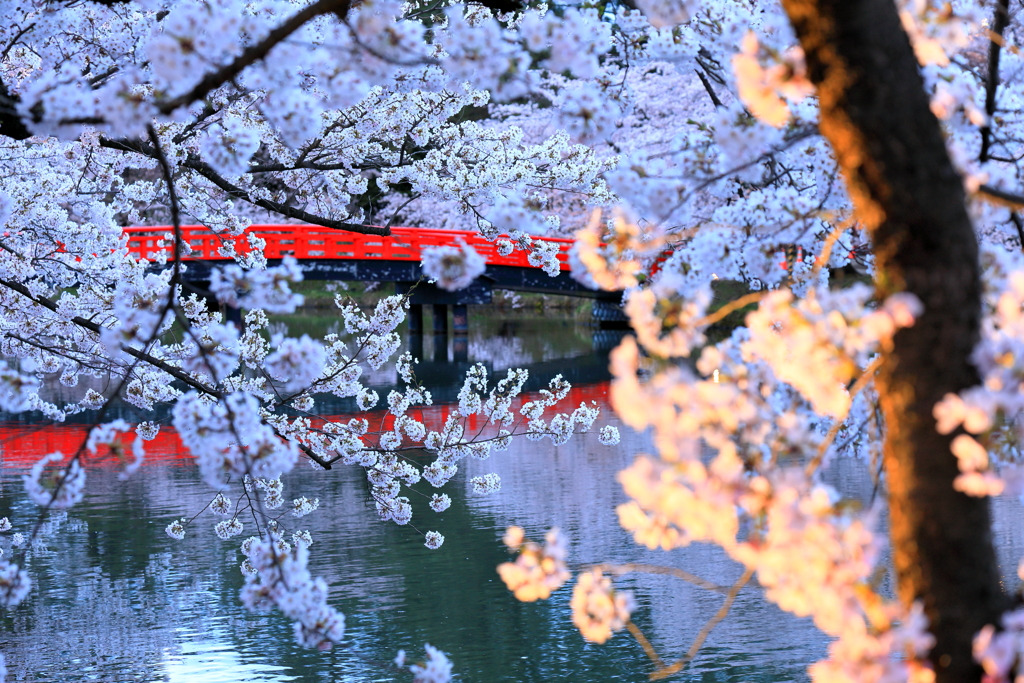 夕暮れの橋