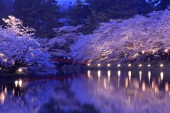 春の夜の夢
