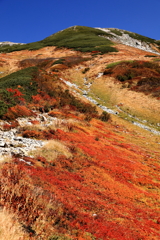 紅葉の絨毯（３）　立山