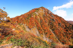 小朝日岳　秋の装い