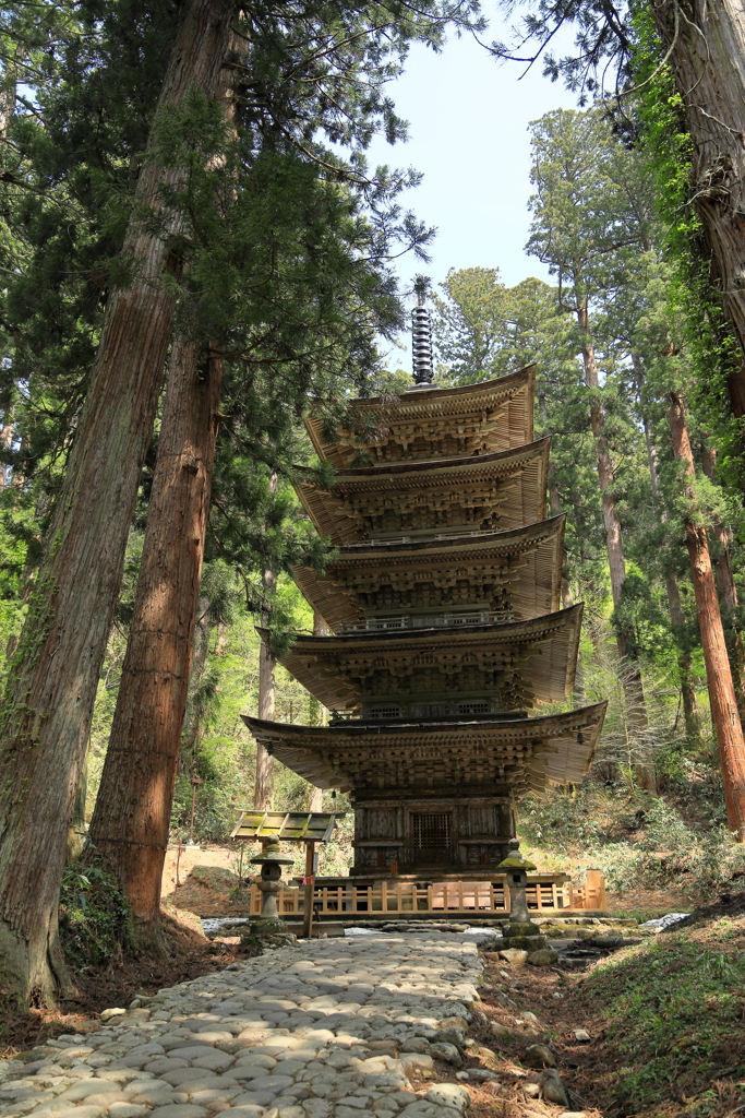 春を迎える　羽黒山