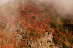 秋の山　雲が流れる