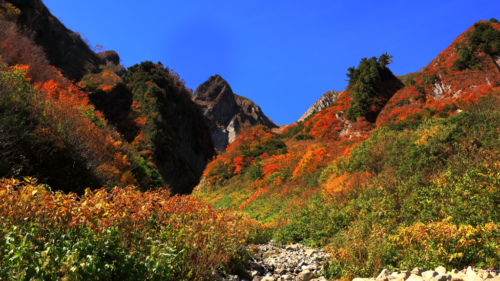 雨飾山　秋２