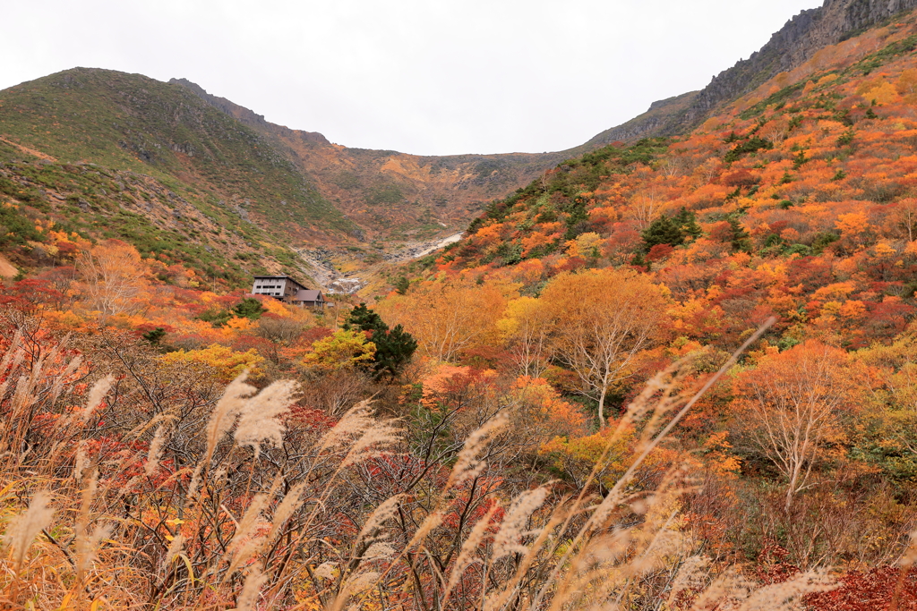 秋の雰囲気　くろがね小屋２