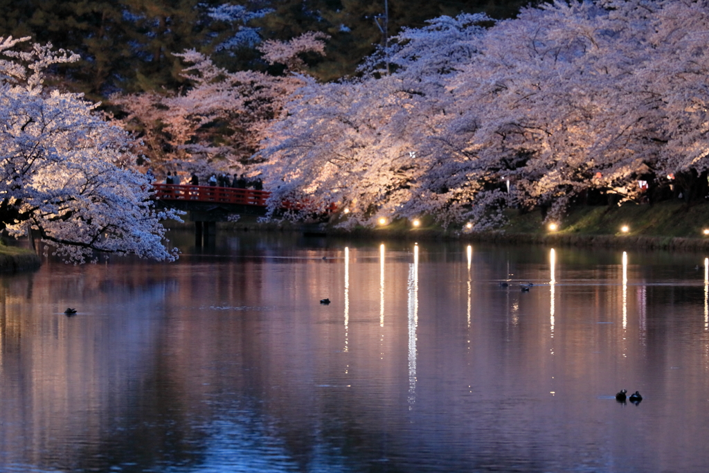 春の夜の夢　２