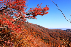 白毛門の秋　６