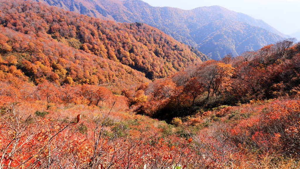 白毛門の秋　２