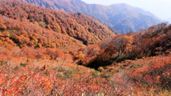 白毛門の秋 2 白毛門の秋 2