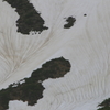 雪模様