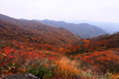 白毛門の秋　５