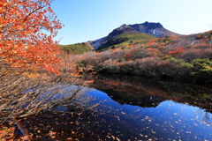 晩秋のひょうたん池