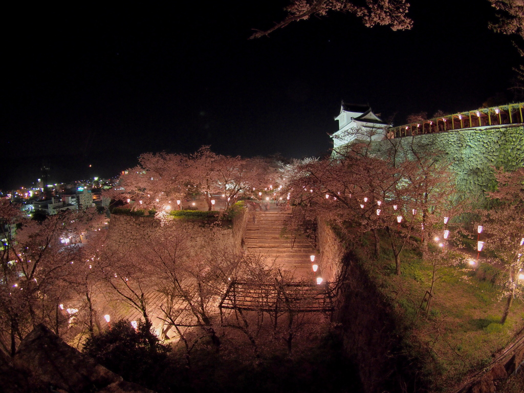 桜祭