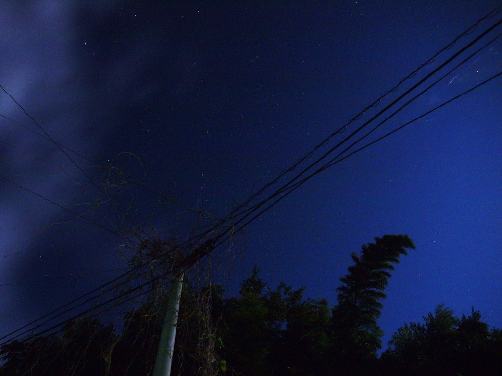 月明りに照らされてⅡ