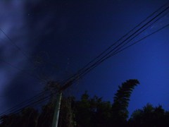 月明りに照らされてⅡ