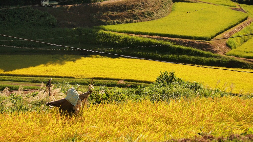 攻防～ｓilent war’ｓ～