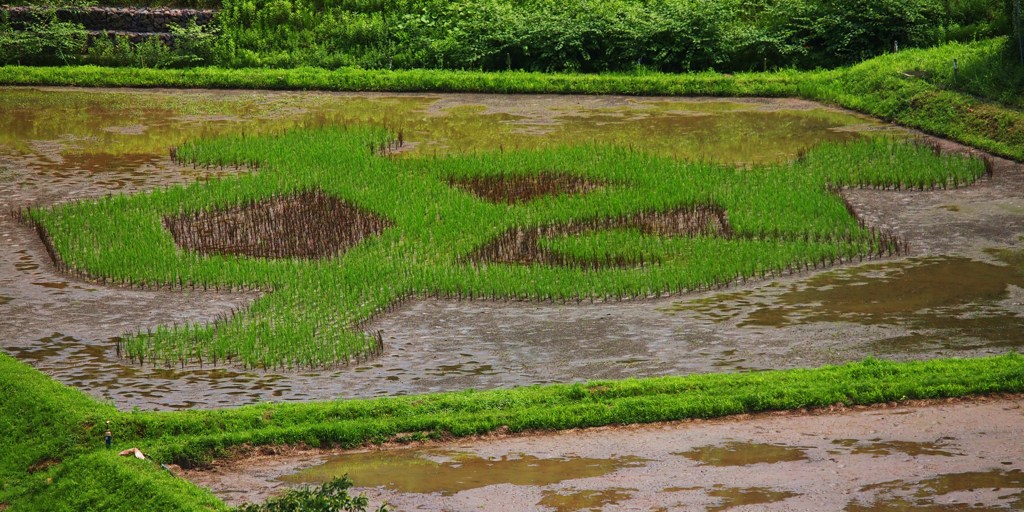 ジャイアンツ田んぼ