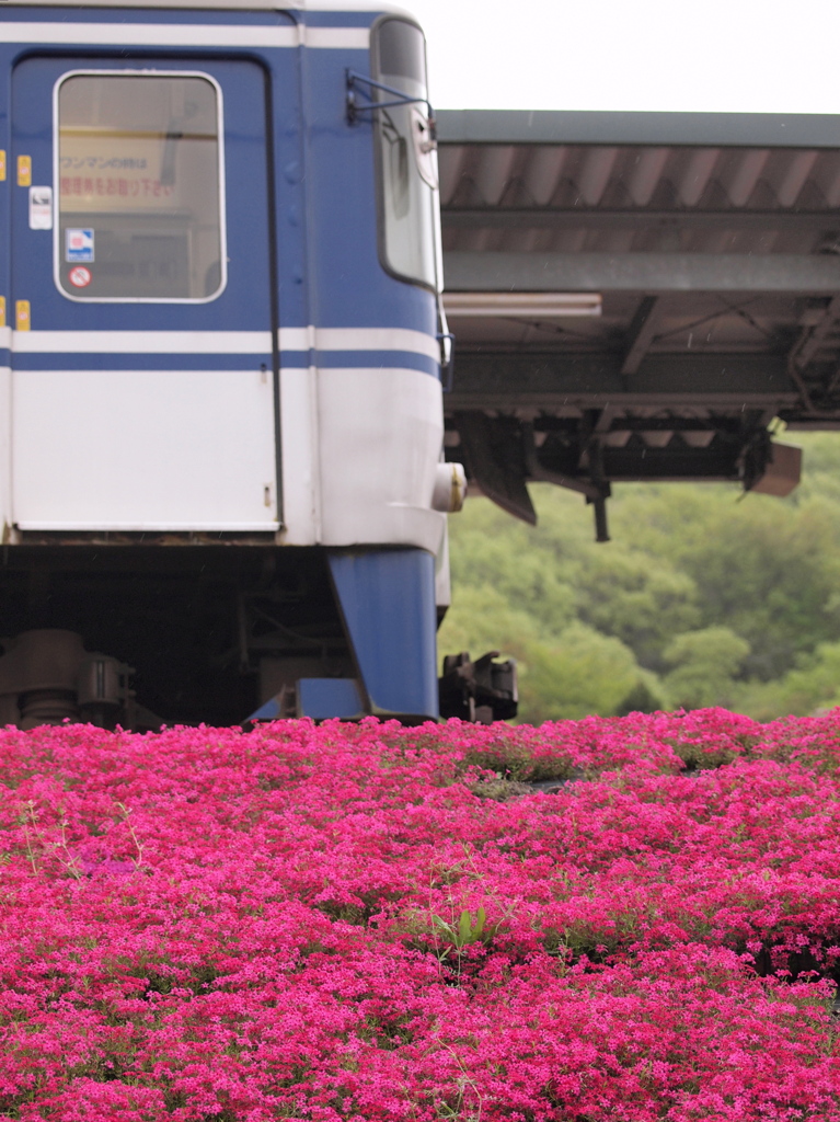 発車オ～ライ