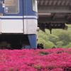 発車オ～ライ