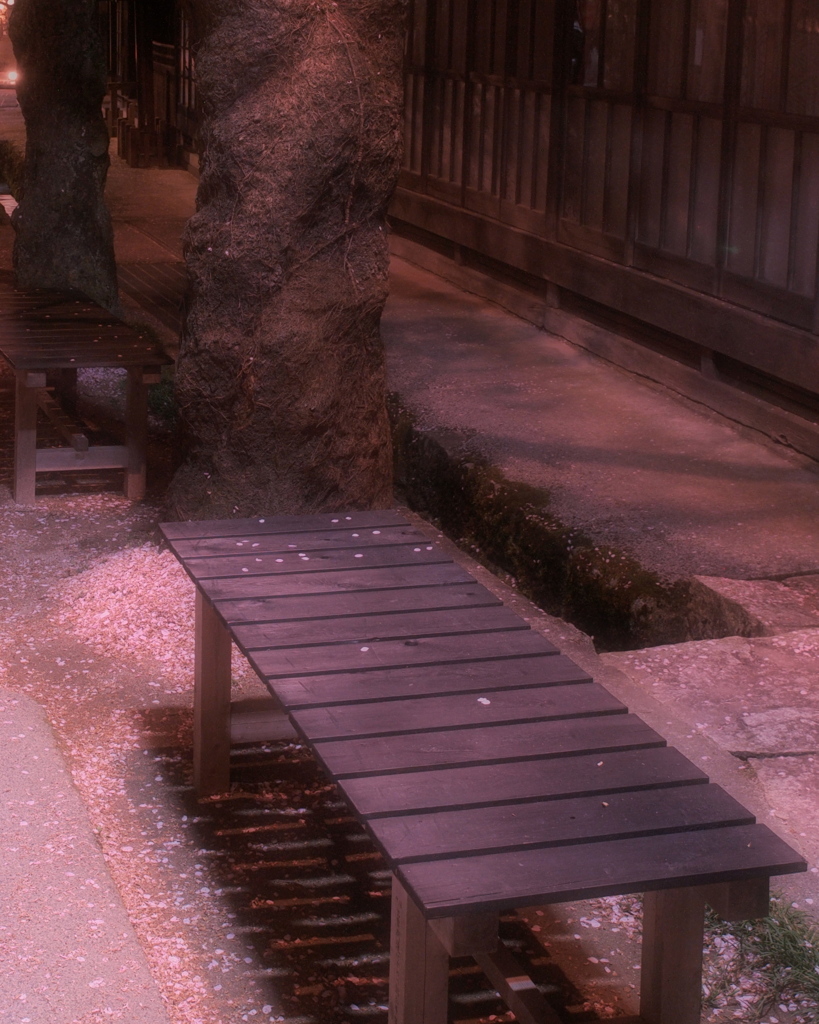 桜色舞い散る
