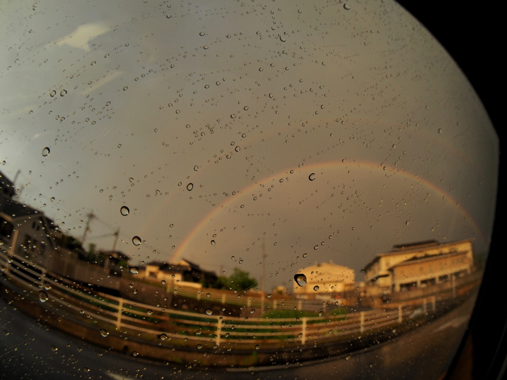 雨上がり