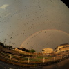 雨上がり