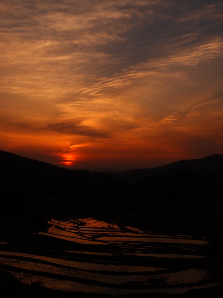暮れ行く棚田