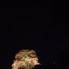 醍醐桜
