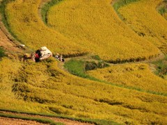 三時になりました