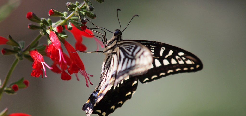 オープンカフェで至福のひと時