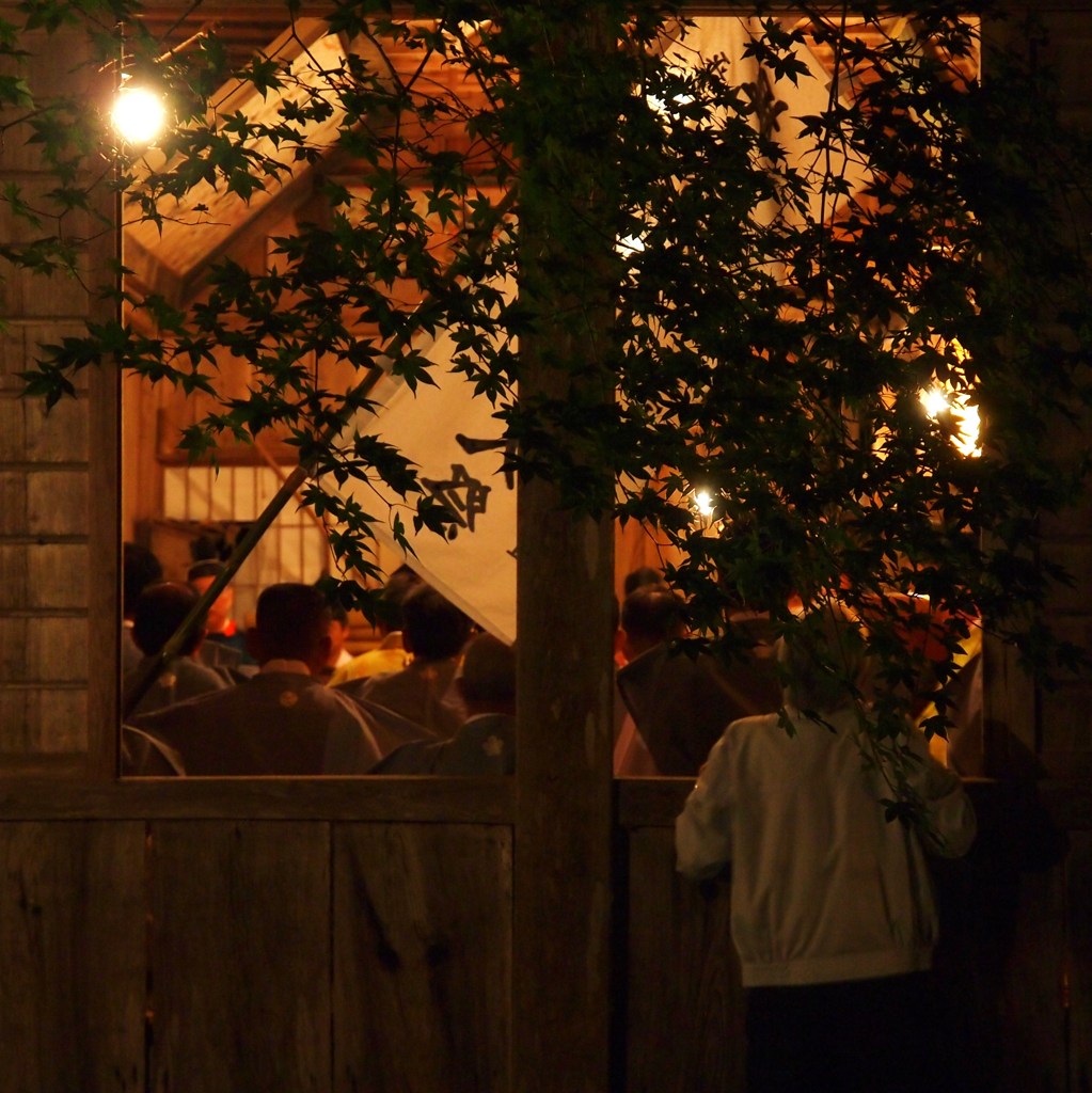 めっちゃ気になる！