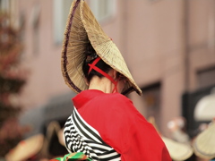 項