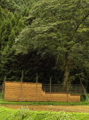 大雨注意報