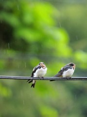 そろそろ雨止むかな～？