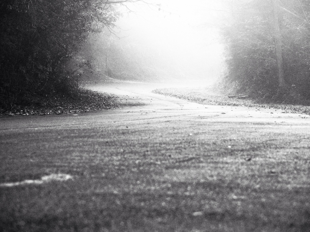 Coming in the fog