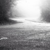 Coming in the fog