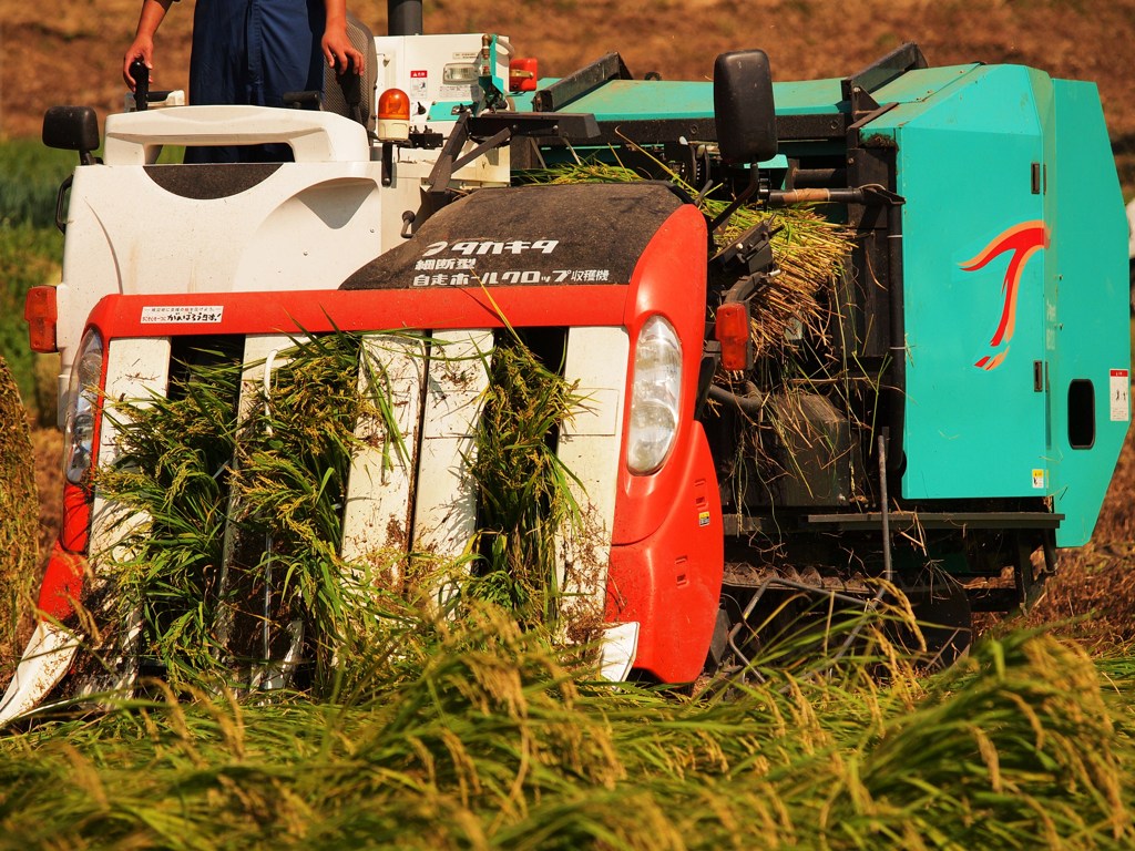 細断型　自走ホールクロップ収穫機