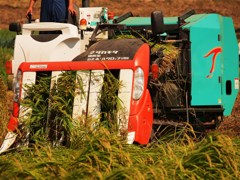 細断型　自走ホールクロップ収穫機