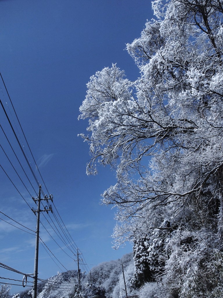 百雪繚乱
