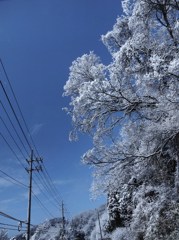 百雪繚乱