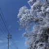 百雪繚乱