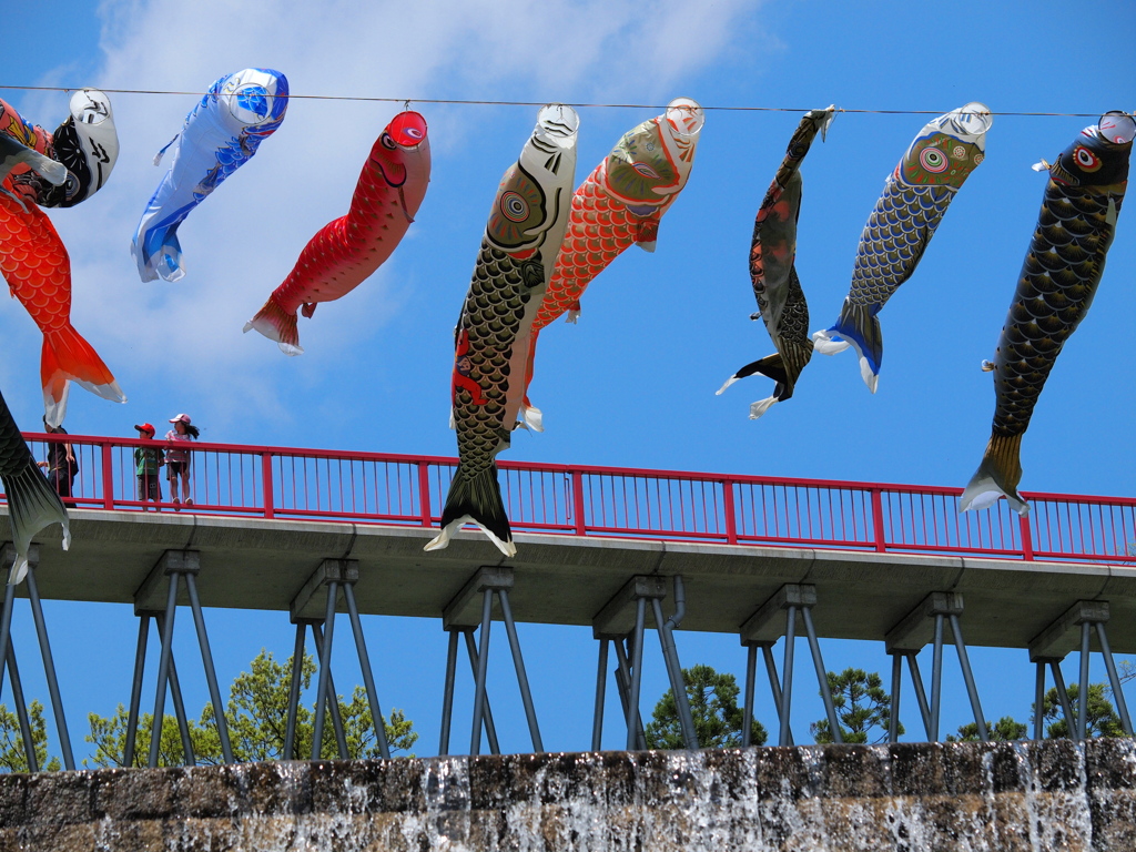 五月の風