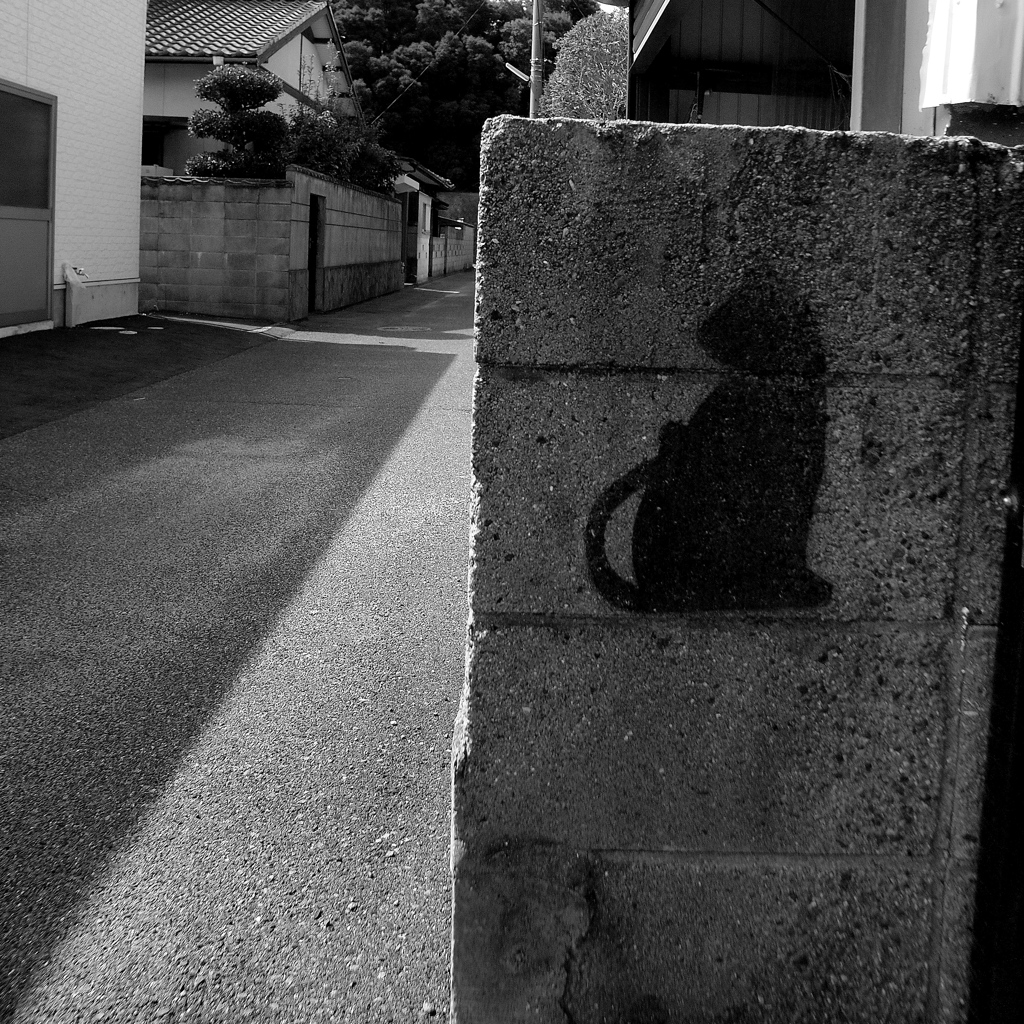路地裏の黒猫