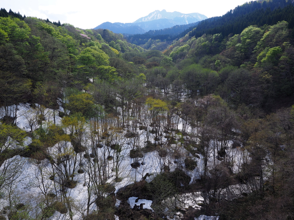雪解けの奥大山