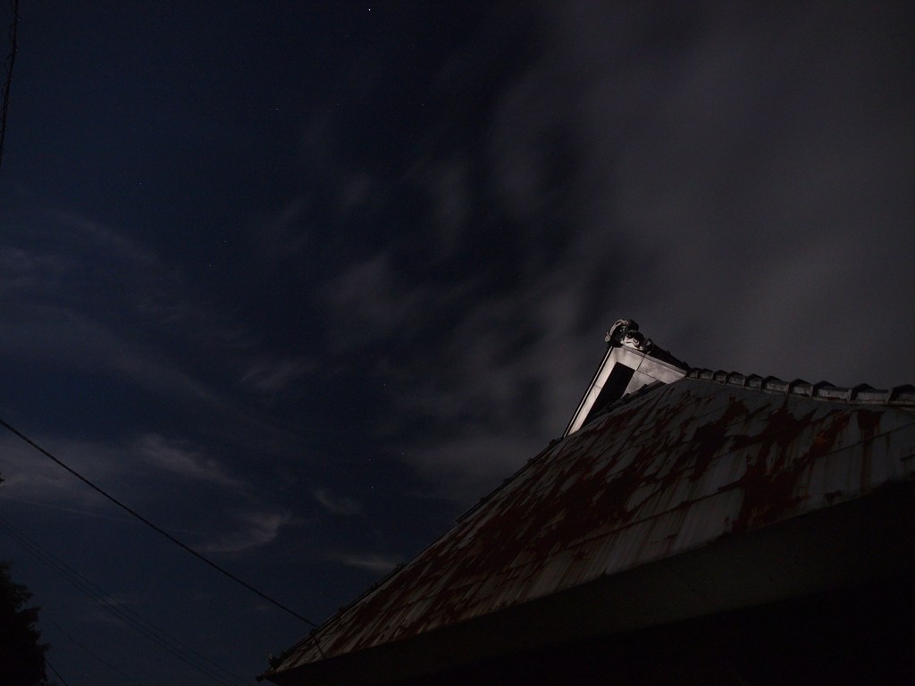 月明かりに照らされて