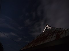 月明かりに照らされて