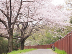 さあ、行こう。