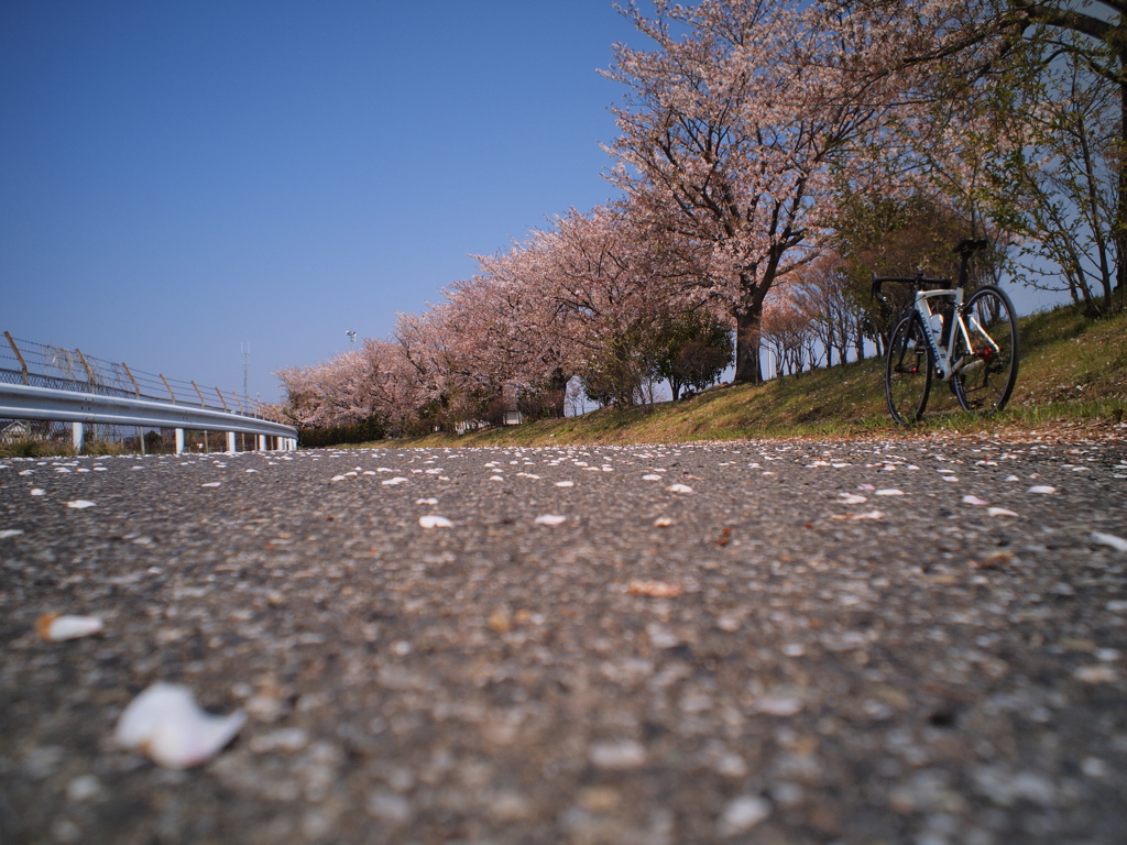 期間限定
